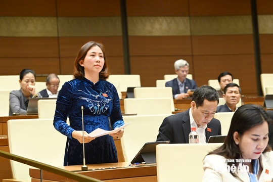 Đại biểu Quốc hội đoàn Nghệ An thảo luận về việc tích hợp 3 Chương trình Mục tiêu quốc gia