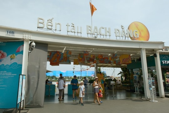 Bình Dương - Củ Chi: nửa ngày trên thuyền từ Bạch Đằng