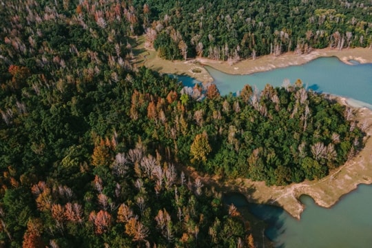 Hướng Phùng: mùa phong hương rực sắc, cắm trại qua đêm