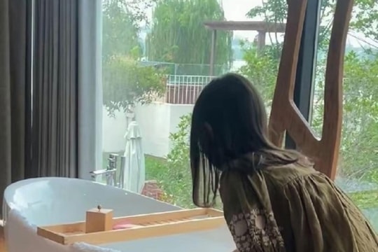 Giang Tô: trải nghiệm sư tử con gọi dậy ở khu nghỉ dưỡng