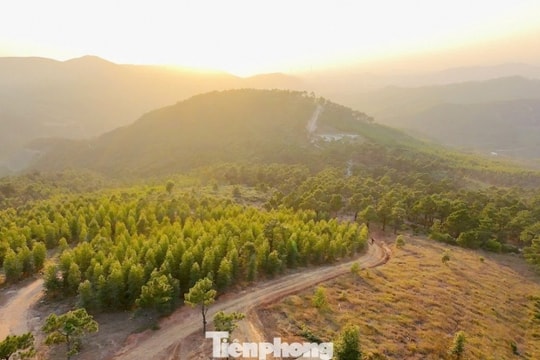 Đỉnh Phượng Hoàng: mùa cỏ cháy, cắm trại qua đêm gần Hà Nội