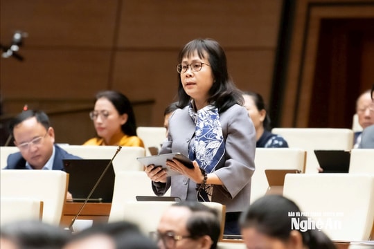 Đại biểu Quốc hội đoàn Nghệ An thảo luận sửa đổi, bổ sung một số điều của Luật Thuế giá trị gia tăng