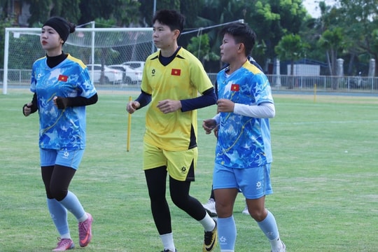 Việt Nam thua Philippines 0-1, trọng tài FIFA lý giải