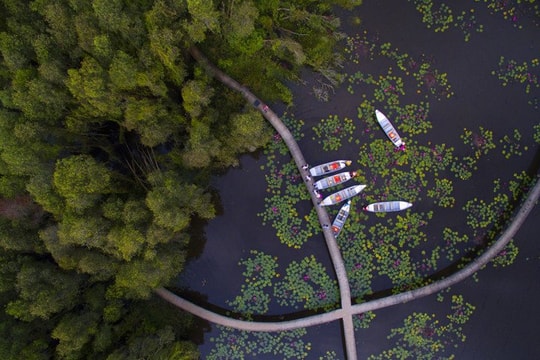 Tân Lập: dạo con đường rừng tràm và ngắm tháp 38 m