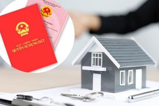 Quyền sử dụng đất mà chồng có được sau khi kết hôn là tài sản chung của vợ chồng đúng không?