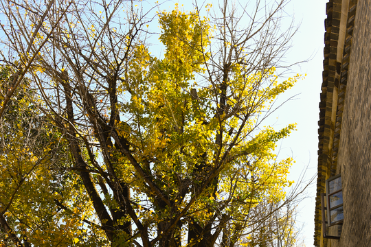 Công bố 100 tác giả đoạt giải cuộc thi 'Mối duyên với Trung Quốc'