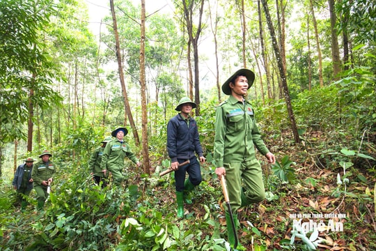 Dịch vụ môi trường rừng góp phần xây dựng kinh tế xanh miền Tây Nghệ An