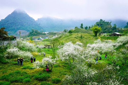Thời tiết Nghệ An ngày 13/12: Gió Đông Bắc mạnh dần lên, đêm và sáng trời rét