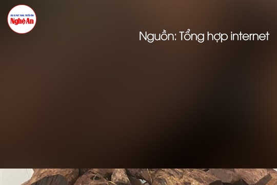 Nguy cơ xâm hại rừng bởi loài gỗ "vô danh" được thương lái Trung Quốc mua 3 triệu đồng/kg