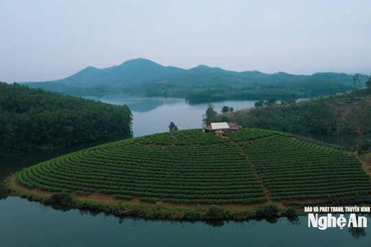 Cận cảnh dự án nghìn tỷ của Cienco 4 bị "lãng quên" nhiều năm