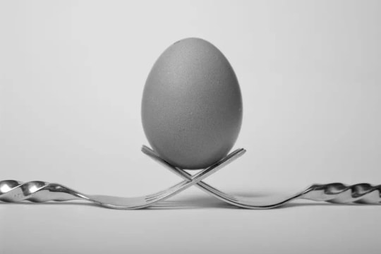 Biến nĩa và trứng thành tác phẩm nhiếp ảnh tĩnh vật tại nhà