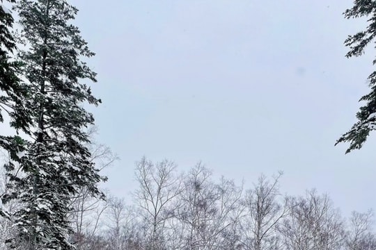 Hokkaido: mùa tuyết đầu -10 độ C ở thị trấn Niseko Nhật Bản