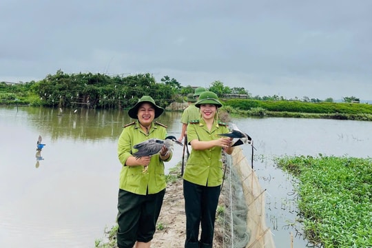 Đẩy mạnh thực thi pháp luật, bảo tồn đa dạng sinh học và bảo vệ động vật hoang dã