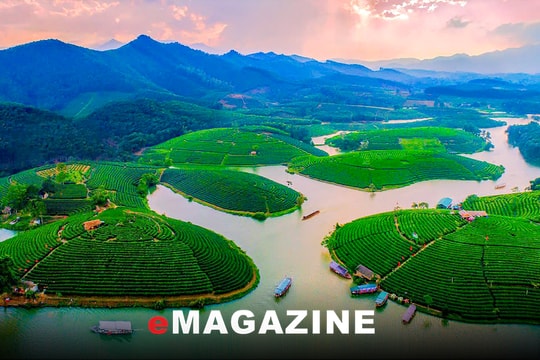 Đảo chè Cầu Cau - Viên ngọc xanh bao giờ phát sáng?