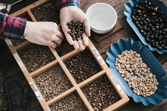 Giá cà phê hôm nay 22/12/2025: Giảm 4 tuần liên tiếp