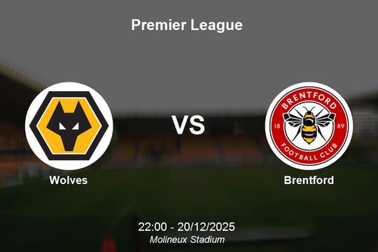 Nhận định Wolves vs Brentford - Premier League