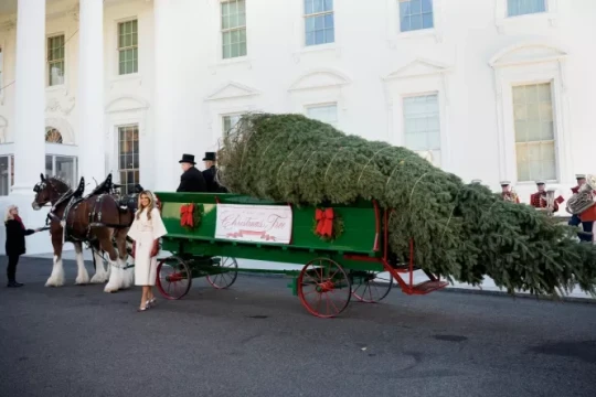 Nhà Trắng mùa Giáng sinh: 60 phút tham quan chủ đề trái tim