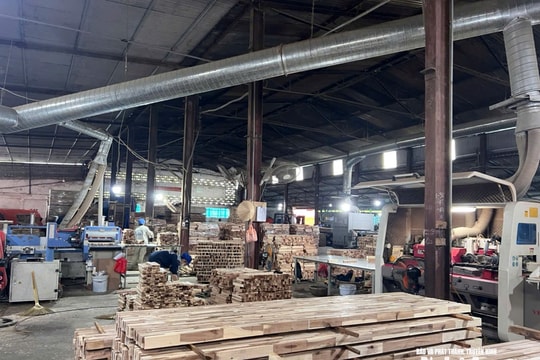 Tiếp đà bứt phá, công nghiệp Nghệ An hướng tới giá trị gia tăng cao