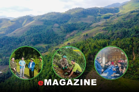 Dân vận “xanh” ở Pù Hoạt