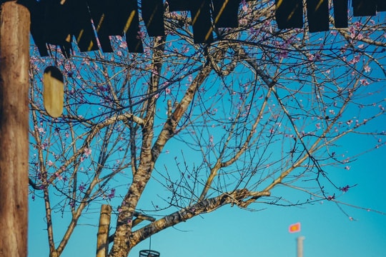 Lô Lô Chải: làng du lịch tốt nhất thế giới ở cực Bắc