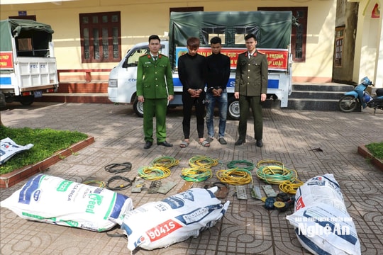 Bắt 2 đối tượng gây ra hơn 150 vụ trộm dây cáp trong vòng 20 ngày