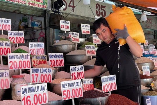 Giá lúa gạo hôm nay 26/12/2025: Giá lúa tăng đến 300 đồng/kg