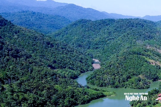 Lâm nghiệp Nghệ An: Vững bước vào kỷ nguyên phát triển xanh và bền vững