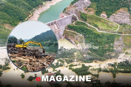 Việc cần làm ngay