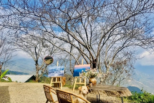 Tà Xùa: Trải nghiệm chạm mây trên 'mái nhà chênh vênh'