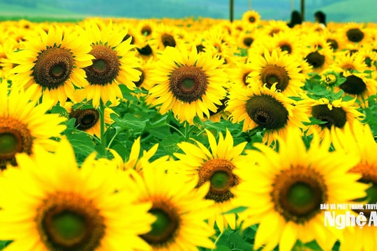 Đảng, Nhà nước tặng quà nhân dịp chào mừng Đại hội Đảng XIV và Tết Nguyên đán Bính Ngọ 2026