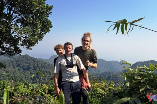 Chinh phục đỉnh Mây Bạc: 5 giờ trekking chạm đến nóc nhà Cúc Phương