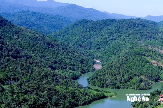 Thời tiết Nghệ An ngày và đêm 1/1: Mưa rào rải rác và có dông, trời rét