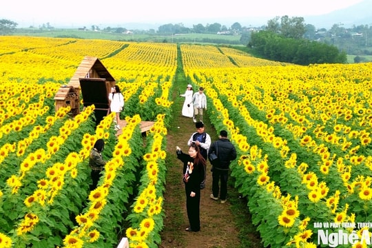 Sôi động hoạt động du lịch đầu năm mới 2026