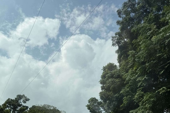 Hà Nội Tết Dương lịch 2026: 7 tọa độ thiên nhiên xanh mát cho kỳ nghỉ 4 ngày