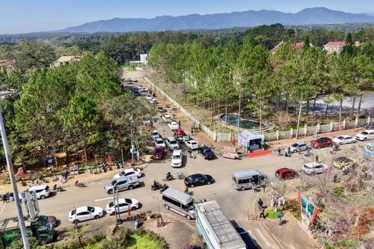 Du lịch Tết Dương lịch 2026: Hà Giang và Măng Đen quá tải, Đà Lạt thông thoáng bất ngờ