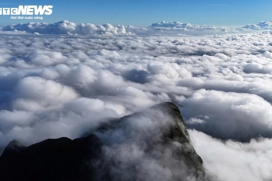 Voi Mẹp: Chinh phục nóc nhà Quảng Trị và hành trình săn mây trên đỉnh Trường Sơn