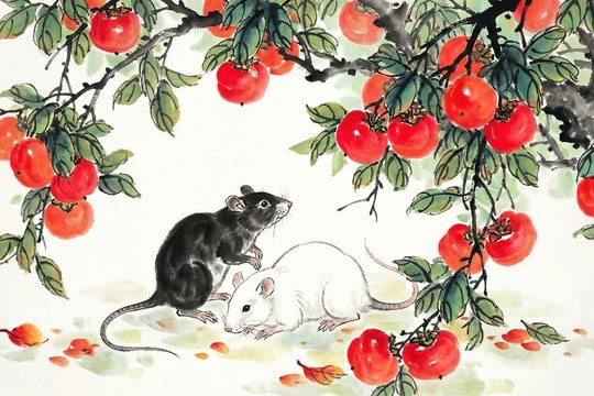 Tử vi 12 con giáp ngày 4/1/2026: Tuổi Mão đón tài lộc, Tuổi Thân cần thận trọng