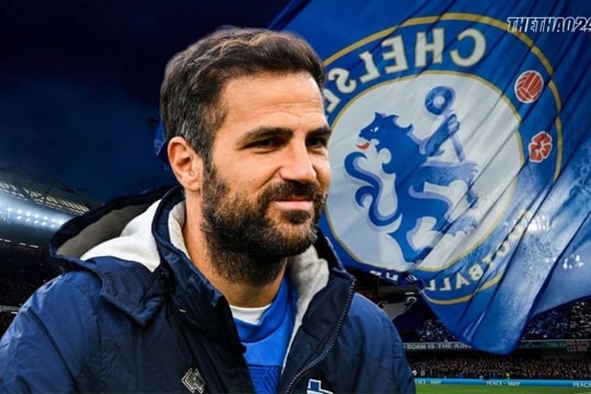 Cesc Fabregas từ chối dẫn dắt Chelsea: Khẳng định cam kết tương lai tại Como
