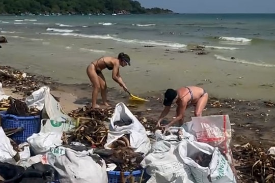 Phú Quốc: Hai bãi biển đẹp nhất ngập trong lục bình và rác thải đầu năm 2026