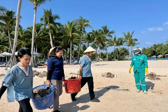 Phú Quốc: Hàng trăm người nỗ lực làm sạch Bãi Kem trong mùa gió chướng