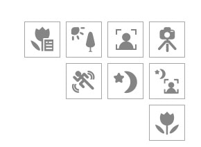 Khám phá 6 chế độ chụp ảnh tự động giúp người mới bắt đầu làm chủ khung hình