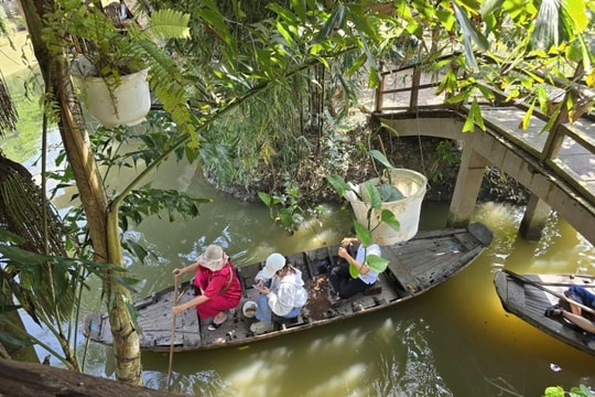 Cần Thơ và Vĩnh Long hút khách dịp Tết Dương lịch: Trải nghiệm miệt vườn gần gũi