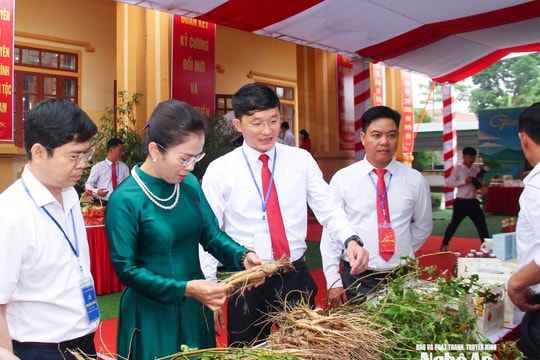 Nghệ An: Triển khai nghị quyết theo tinh thần “8 rõ”, lấy hiệu quả làm thước đo cấp cơ sở