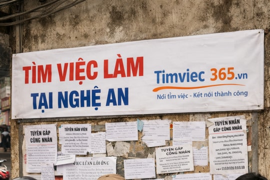Tìm việc ở Nghệ An: Người lao động thích ứng ra sao trước sự chuyển dịch của thị trường cùng Timviec365.vn