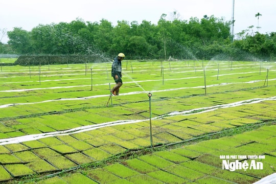 Thời tiết Nghệ An ngày 8/1: Trời rét, đêm và sáng rét đậm, rét hại