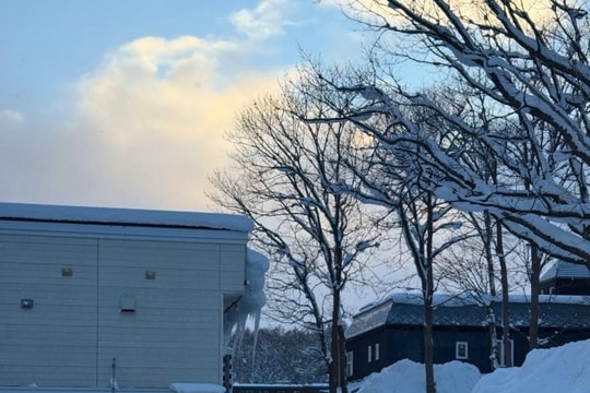 Niseko Hanazono: Điểm trượt tuyết tại Nhật Bản gia đình Tăng Thanh Hà ghé thăm đầu năm 2026