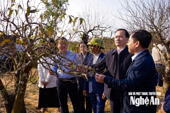 Ra mắt Câu lạc bộ “Nông dân sản xuất, kinh doanh giỏi”