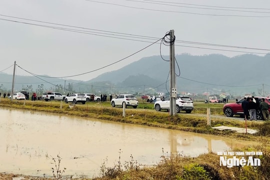 Cảnh báo rủi ro từ những cơn sốt đất ảo ở Nghệ An