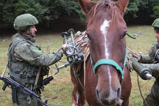 Nga gắn thiết bị vệ tinh Starlink lên lưng ngựa để duy trì kết nối trên chiến trường