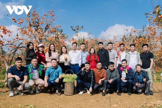 Mộc Châu vào mùa quả chín: Hành trình khám phá sắc màu cao nguyên Sơn La